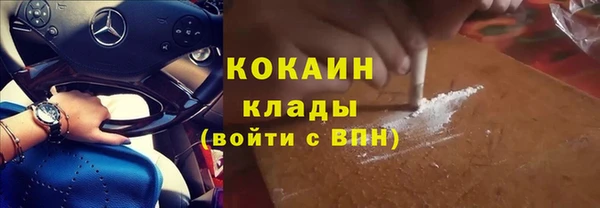 Альфа ПВП Богородск